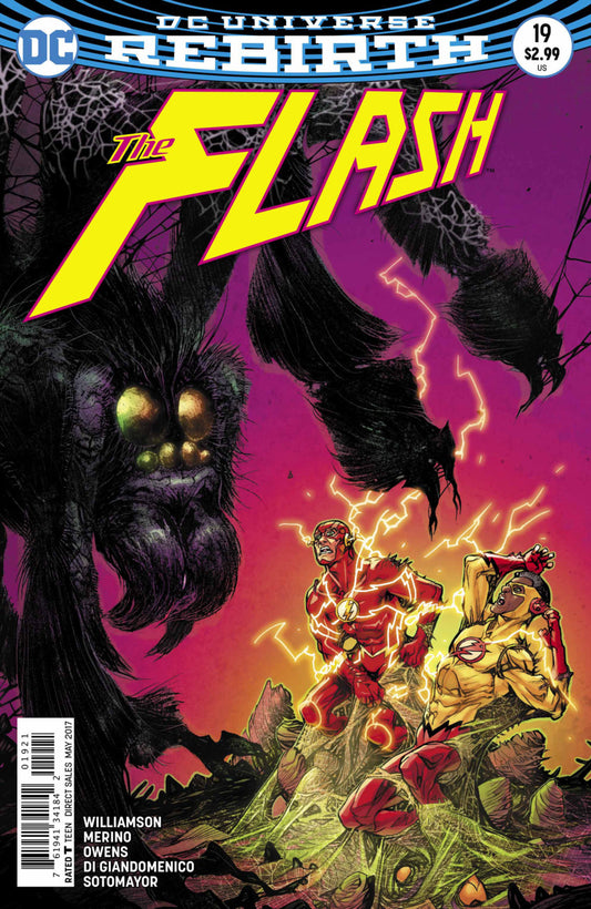 Flash (2016) #19