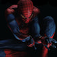 The Amazing Spider-Man: The Movie Adaptation (Full 2x Set)