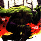 Incredible Hulk (1999) #34