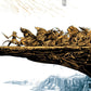 Autumnlands: Tooth & Claw #6