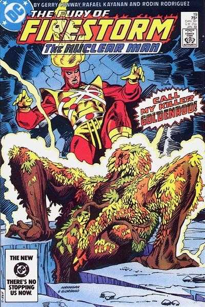 Fury of Firestorm (1982) #19