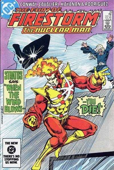 Fury of Firestorm (1982) #29