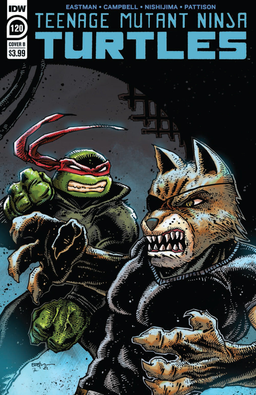 Teenage Mutant Ninja Turtles (2011) #120